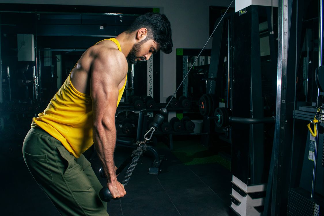 Muscle and body composition research training